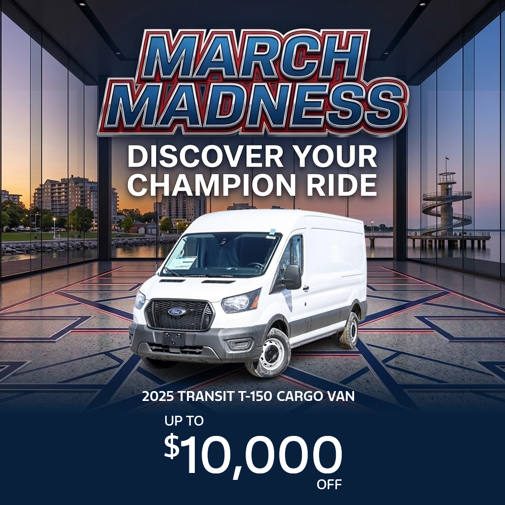  2025 TRANSIT T-150 CARGO VAN  