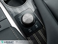 2021 Lexus RX 350 RX 350 Auto