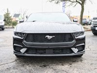 2026 Ford Mustang EcoBoost | 2.3L | 100A | 10-SPD AUTO