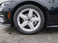2026 Ford Mustang EcoBoost | 2.3L | 100A | 10-SPD AUTO