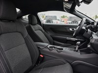 2026 Ford Mustang EcoBoost | 2.3L | 100A | AUTO | NITE PONY PKG