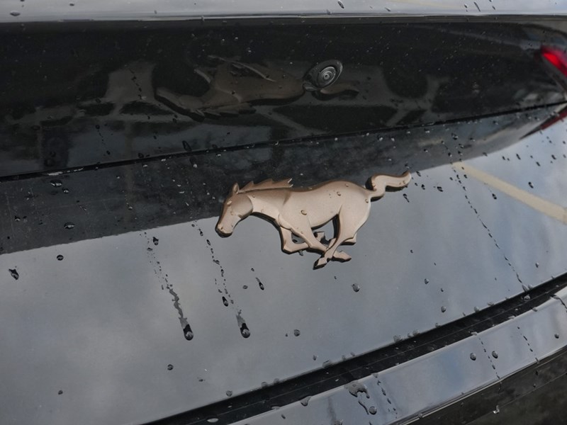 2026 Ford Mustang EcoBoost | 2.3L | 100A | AUTO | BRONZE PKG