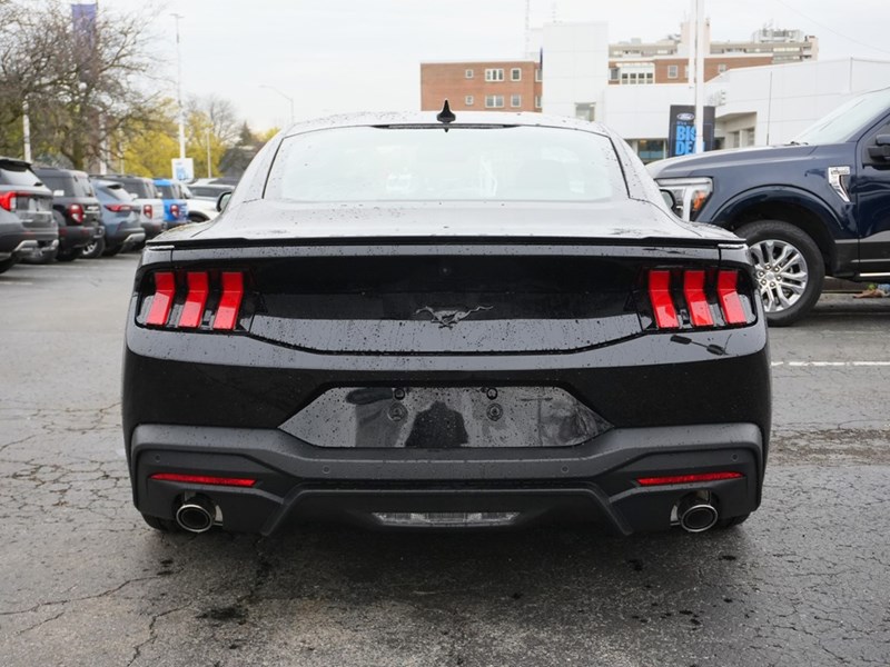 2026 Ford Mustang EcoBoost | 2.3L | 100A | AUTO | NITE PONY PKG