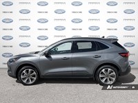 2025 Ford Escape Platinum AWD