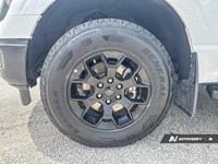 2024 Ford F-150 STX 4WD SuperCrew 5.5' Box