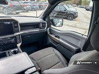 2024 Ford F-150 STX 4WD SuperCrew 5.5' Box