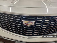 2020 Cadillac XT4 AWD 4dr Premium Luxury