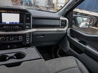 2021 Ford F-150 XLT 4WD SuperCrew 5.5' Box