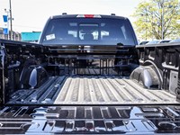 2025 Ford F-150 XLT 4WD SuperCrew 5.5' Box