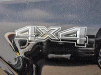 2025 Ford F-150 XLT 4WD SuperCrew 5.5' Box