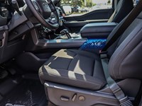 2025 Ford F-150 XLT 4WD SuperCrew 5.5' Box