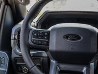 2025 Ford F-150 XLT 4WD SuperCrew 5.5' Box