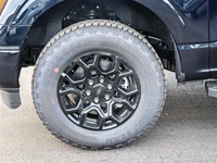 2025 Ford F-150 XLT 4WD SuperCrew 5.5' Box