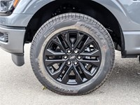 2025 Ford F-150 XLT 4WD SuperCrew 5.5' Box