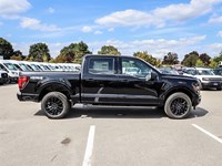 2025 Ford F-150 XLT 4WD SuperCrew 5.5' Box