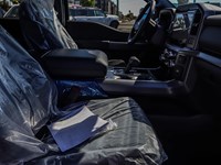 2025 Ford F-150 XLT 4WD SuperCrew 5.5' Box