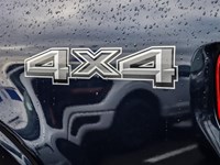 2025 Ford F-150 Platinum 4WD SuperCrew 5.5' Box