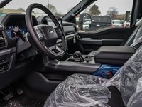 2025 Ford F-150 XLT 4WD SuperCrew 5.5' Box