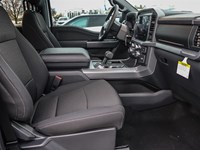 2025 Ford F-150 XLT 4WD SuperCrew 5.5' Box