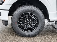 2025 Ford F-150 XLT 4WD SuperCrew 5.5' Box