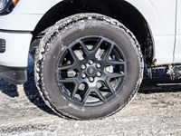 2025 Ford F-150 STX 4WD SuperCrew 5.5' Box