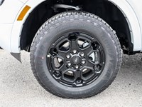 2025 Ford Ranger XLT 4WD SuperCrew 5' Box