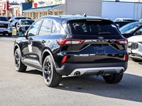 2026 Ford Escape Platinum AWD