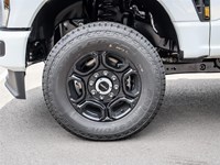 2026 Ford Super Duty F-250 SRW XL 4WD Reg Cab 8' Box