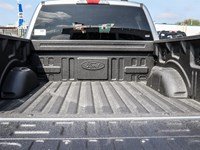 2026 Ford F-150 STX 4WD SuperCrew 5.5' Box