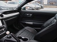 2019 Ford Mustang NO ACCIDENTS | 480 HORSEPOWER | 6 SPEED MANUAL