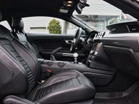 2019 Ford Mustang NO ACCIDENTS | 480 HORSEPOWER | 6 SPEED MANUAL