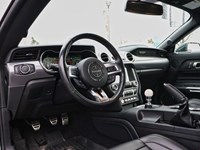 2019 Ford Mustang NO ACCIDENTS | 480 HORSEPOWER | 6 SPEED MANUAL