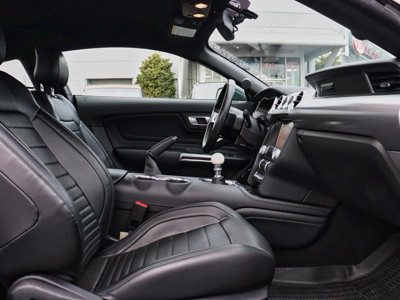 2019 Ford Mustang NO ACCIDENTS | 480 HORSEPOWER | 6 SPEED MANUAL