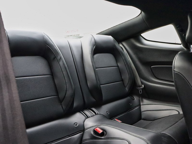 2019 Ford Mustang NO ACCIDENTS | 480 HORSEPOWER | 6 SPEED MANUAL