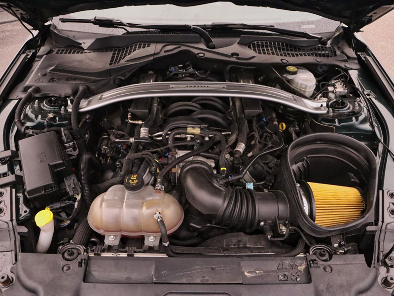 2019 Ford Mustang NO ACCIDENTS | 480 HORSEPOWER | 6 SPEED MANUAL