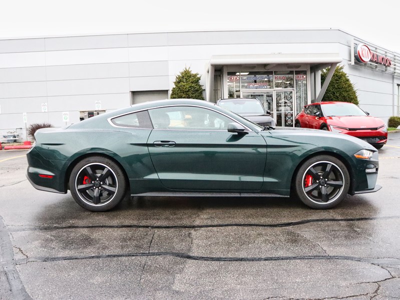 2019 Ford Mustang NO ACCIDENTS | 480 HORSEPOWER | 6 SPEED MANUAL