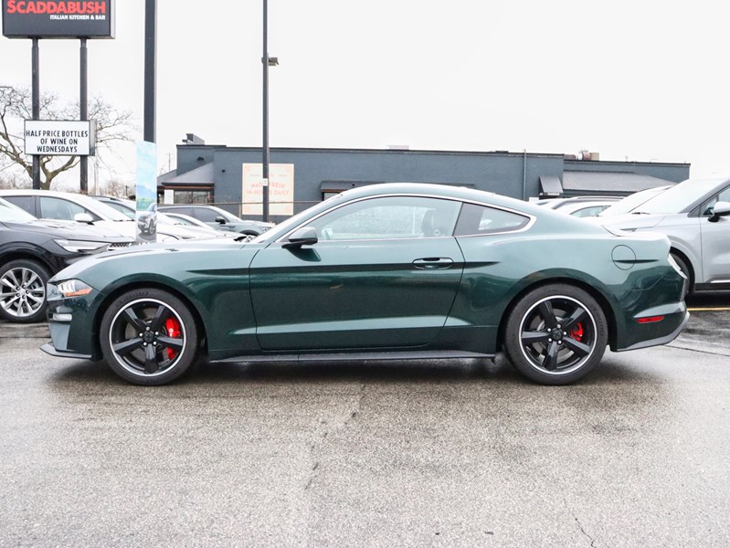 2019 Ford Mustang NO ACCIDENTS | 480 HORSEPOWER | 6 SPEED MANUAL