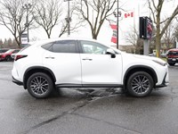 2024 Lexus NX 350h 350h Base