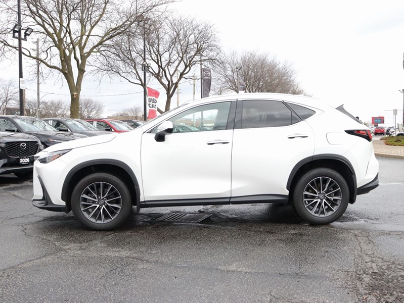 2024 Lexus NX 350h 350h Base