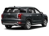 2021 Hyundai Palisade Luxury 7-Passenger AWD Exterior Shot 2