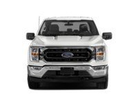 2021 Ford F-150 XLT 4WD SuperCrew 5.5' Box Exterior Shot 5