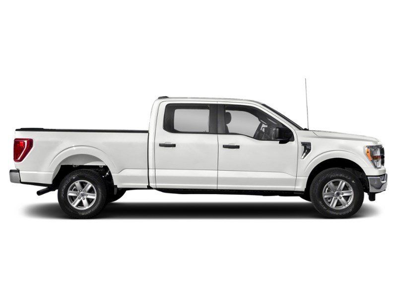 2022 Ford F-150 XLT 4WD SuperCrew 5.5' Box Exterior Shot 10