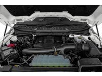 2021 Ford F-150 XLT 4WD SuperCrew 5.5' Box Exterior Shot 3
