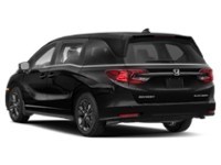 2023 Honda Odyssey Black Edition Auto Exterior Shot 9