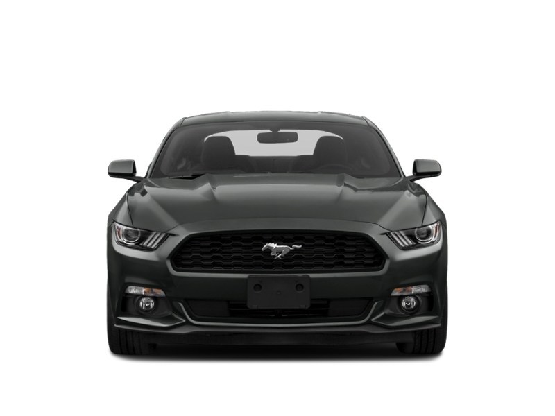 2017 Ford Mustang 2dr Fastback EcoBoost Exterior Shot 6