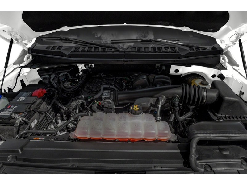 2019 Ford F-150 XLT 4WD SuperCab 6.5' Box Exterior Shot 3