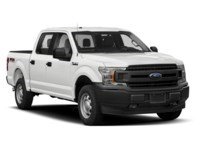 2019 Ford F-150 XL 4WD SuperCrew 5.5' Box Exterior Shot 9
