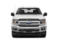 2019 Ford F-150 XLT | 4X4 | 3.5L | MAX TOW | NAV | FX4 | TLGT STEP Exterior Shot 6