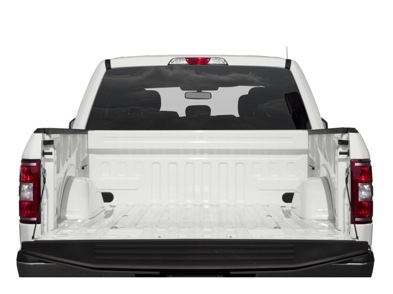 2019 Ford F-150 XLT 4WD SuperCrew 5.5' Box Exterior Shot 4