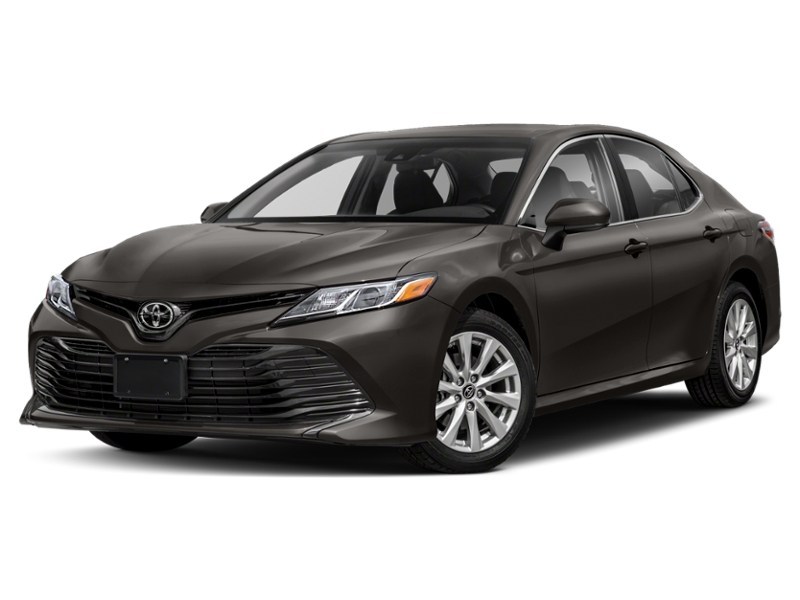 2019 Toyota Camry LE Auto Exterior Shot 1
